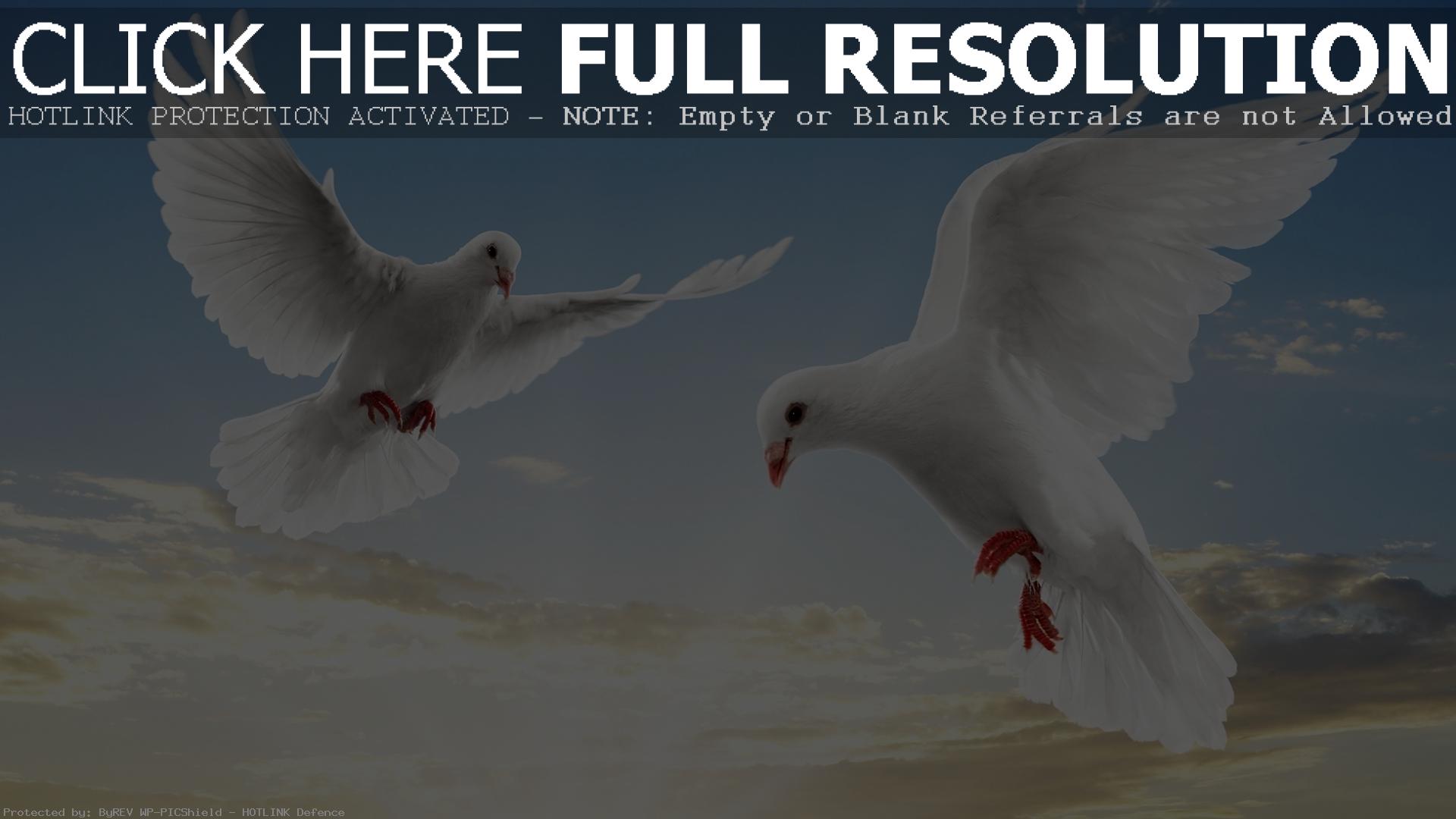 Обои full hd Белые голуби мира 1920х1080