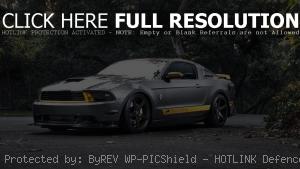 Ford Mustang Silvery
